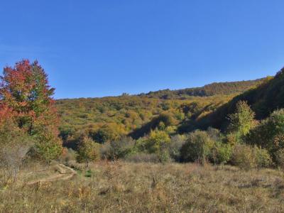 Прикрепленное изображение: DSCF5854.jpg